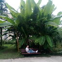 ���������� ������ ��������, ���� ������� �������, 52 ����, ������������ ��� ������, ����� � ���������