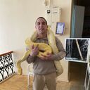  ,   , 28 ,   c 