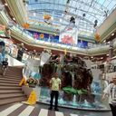 ���������� ������������, ���� ������� ����, 40 ���, ������������ ��� ������, ����� � ���������, c�������� ���������