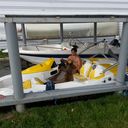 ���������� ������, ���� ������� ����, 31 ���, ������������ ��� ������