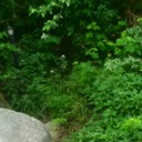 ���������� ����, ���� ������� Tarlan, 55 ���, ������������ ��� ������, ����� � ���������, c�������� ���������, ���������