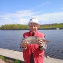  ,   , 70 ,   ,   , c , 