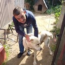  ,   , 37 ,   ,   , c , 
