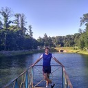 ���������� ����, ���� ������� Digitex, 38 ���, ������������ ��� ������