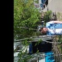 ���������� ������������, ���� ������� ���������, 40 ���, ������������ ��� ������, ����� � ���������