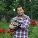  Algiers,   , 40 ,     , c 