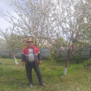 ���������� �����������, ���� ������� ������, 44 ����, ������������ ��� ������, ����� � ���������, c�������� ���������