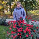 ���������� ������, ���� ������� �����, 49 ���, ������������ ��� c�������� ���������