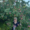  ,   , 61 ,   ,   , c 