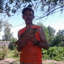 ���������� �����, ���� ������� A�����, 54 ����, ������������ ��� ������, ����� � ���������, c�������� ���������