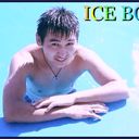 ���������� �������, ���� ������� SERDZEED, 36 ���, ������������ ��� ������, ����� � ���������, c�������� ���������