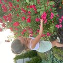 ���������� ������, ���� ������� ����, 31 ���, ������������ ��� ����� � ���������, c�������� ���������