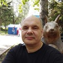  ,   Kitten, 58 ,   ,   