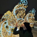 ���������� �������, ���� ������� ������, 40 ���, ������������ ��� ����� � ���������, c�������� ���������