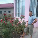  -,   , 49 ,  