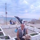 ,   , 62 ,     , c 