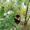   ,   , 25 ,   ,   , c 