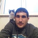  ,   Amid, 37 ,   ,   