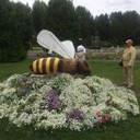  ,   , 63 ,   