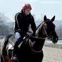 ���������� ���������, ���� ������� Vasiliu, 40 ���, ������������ ��� ������, ����� � ���������, c�������� ���������, ���������