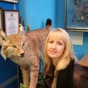 ���������� �����������, ���� ������� ����, 44 ����, ������������ ��� ������, ����� � ���������, c�������� ���������