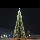 ���������� ������, ���� ������� �������, 29 ���, ������������ ��� ������, ����� � ���������