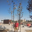 ���������� ���������, ���� ������� Jaxongir, 42 ����, ������������ ��� ������, ����� � ���������, c�������� ���������