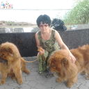  ,   , 62 ,   