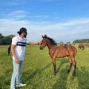 ���������� ����, ���� ������� ���� �����, 26 ���, ������������ ��� ������, ����� � ���������, c�������� ���������, ���������