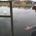  ,   , 47 ,   ,   , c 