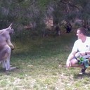 ���������� ���������, ���� ������� ���������, 41 ���, ������������ ��� ������, ����� � ���������, c�������� ���������