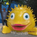  ,   , 44 ,   ,   , c 