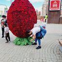  ,   Sardor, 26 ,   ,   