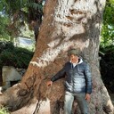 ���������� �����������, ���� ������� ���������, 55 ���, ������������ ��� ������, ����� � ���������