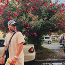   ,   , 26 ,     