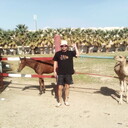 ���������� ������, ���� ������� ������, 40 ���, ������������ ��� ������, ����� � ���������, c�������� ���������