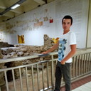 ���������� �������, ���� ������� Anatoly, 32 ����, ������������ ��� ������, ����� � ���������, c�������� ���������