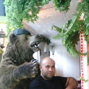 ���������� �����������, ���� ������� ����, 45 ���, ������������ ��� ������, ����� � ���������, c�������� ���������