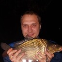 ���������� �������, ���� ������� �������, 36 ���, ������������ ��� ������, ����� � ���������, c�������� ���������