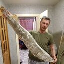  ,   , 47 ,   