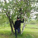  ,   , 63 ,   ,   , 