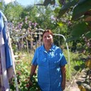 ,   , 53 ,   