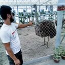 ���������� �����, ���� ����� ����, 25 ���, ������������ ��� ������, ����� � ���������, c�������� ���������