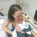 ���������� �������, ���� ������� �������, 42 ����, ������������ ��� ����� � ���������, c�������� ���������