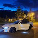 ���������� ����������, ���� ������� ������, 36 ���, ������������ ��� ������, ����� � ���������