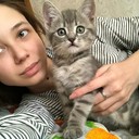 ���������� ������, ���� ������� �����, 29 ���, ������������ ��� ������, ����� � ���������, c�������� ���������