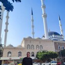 ���������� �����, ���� ������� ���������, 35 ���, ������������ ��� ����� � ���������, c�������� ���������