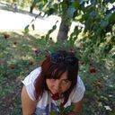  ,   , 36 ,     , c , 