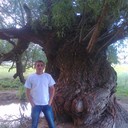  ,   Pokaritel_S, 38 ,     , c 