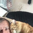 ���������� ������, ���� ������� �����, 41 ���, ������������ ��� ������, ����� � ���������